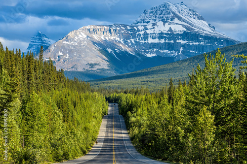 Tableau sur toile Icefields Parkway at Mount Sarbach - A Spring evening view of Icefields Parkway running through dense forest at base of Mount Sarbach, Banff National Park, AB, Canada