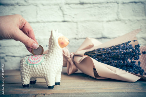 Hand puttong coin into Llama money box on the table with bouquete of dried lavanter on white background, selected focus, toned