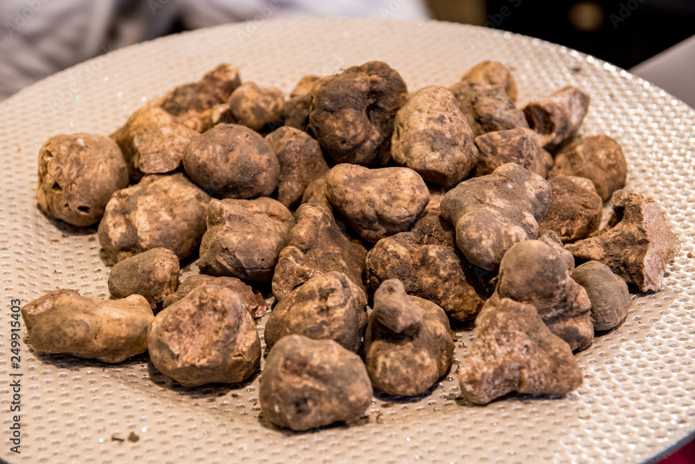 Fototapeta premium White truffles of San Miniato in Tuscany