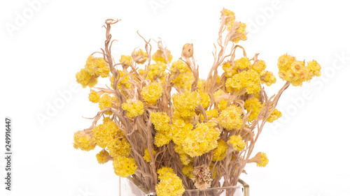 Beautiful yellow bouquet of flowers in a transparent vase. Isolated on white background