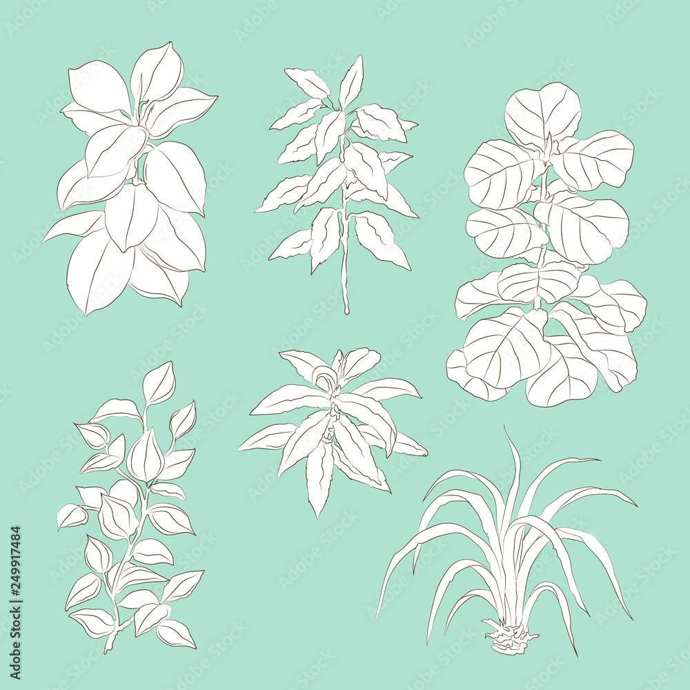Fototapeta premium vector hand drawn set of minimalist floral sketches isolated on dusty blue background. Design element, floral and natural themes, textile, interior and printed goods decoration. 