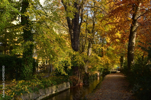 Herbstlicher Spaziergang am Bach