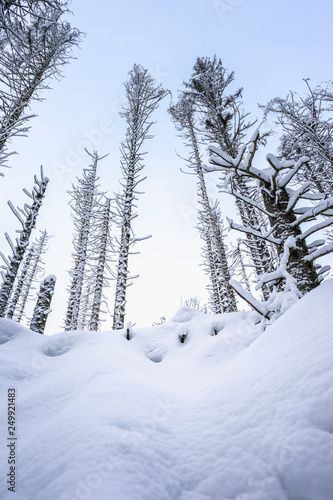winter im Harz