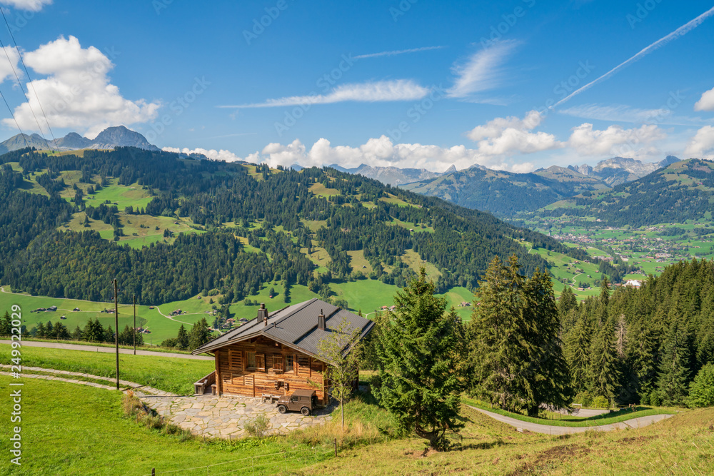 Summer view from the Wispile, Gstaad