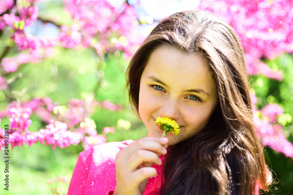 Allergy season. Pretty girl smell daisy flower in blooming garden. Young lady with dandelion at flowering tree. Cute girl on spring landscape. Spring allergy to pollen. Flower blossoms are in bloom Allergy season. Pretty girl smell daisy flower in blooming garden. Young lady with dandelion at flowering tree. Cute girl on spring landscape. Spring allergy to pollen. Flower blossoms are in bloom
