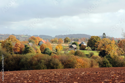 Automne sur les collines de Normandie photo