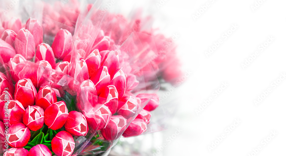 Tulips in flower shop in celophane white background copy space Tulips in flower shop in celophane white background copy space