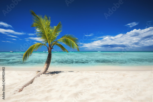 Fototapeta Naklejka Na Ścianę i Meble -  Tropical beach with palm tree. Holiday and vacation concept.
