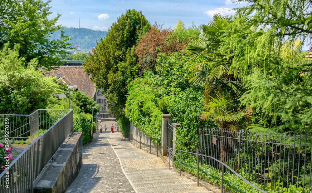 Green alley in Zurich, Switzerland Green alley in Zurich, Switzerland