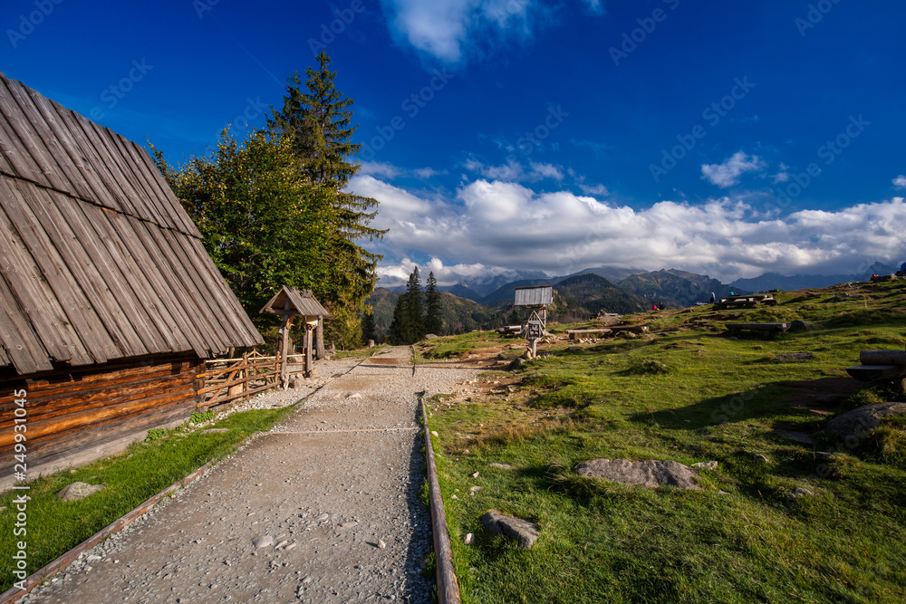 Rusinowa polana