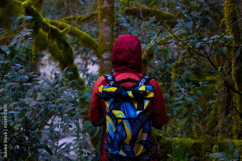 girl in the forest girl in the forest