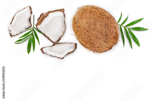 coconut with leaves isolated on white background with copy space for your text. Top view. Flat lay