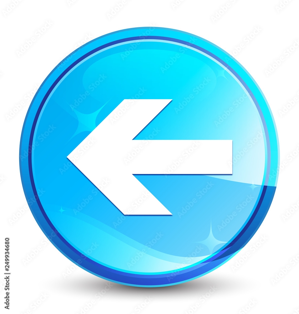 Back arrow icon splash natural blue round button Back arrow icon splash natural blue round button