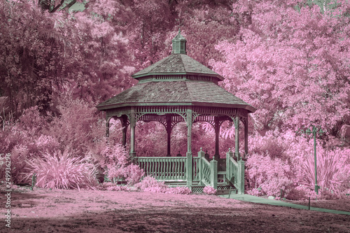 Print op canvas Garden Gazebo with Lush Infrared Colors