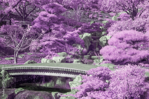 Photography Peaceful Garden Bridge and Foliage in Infrared Color
