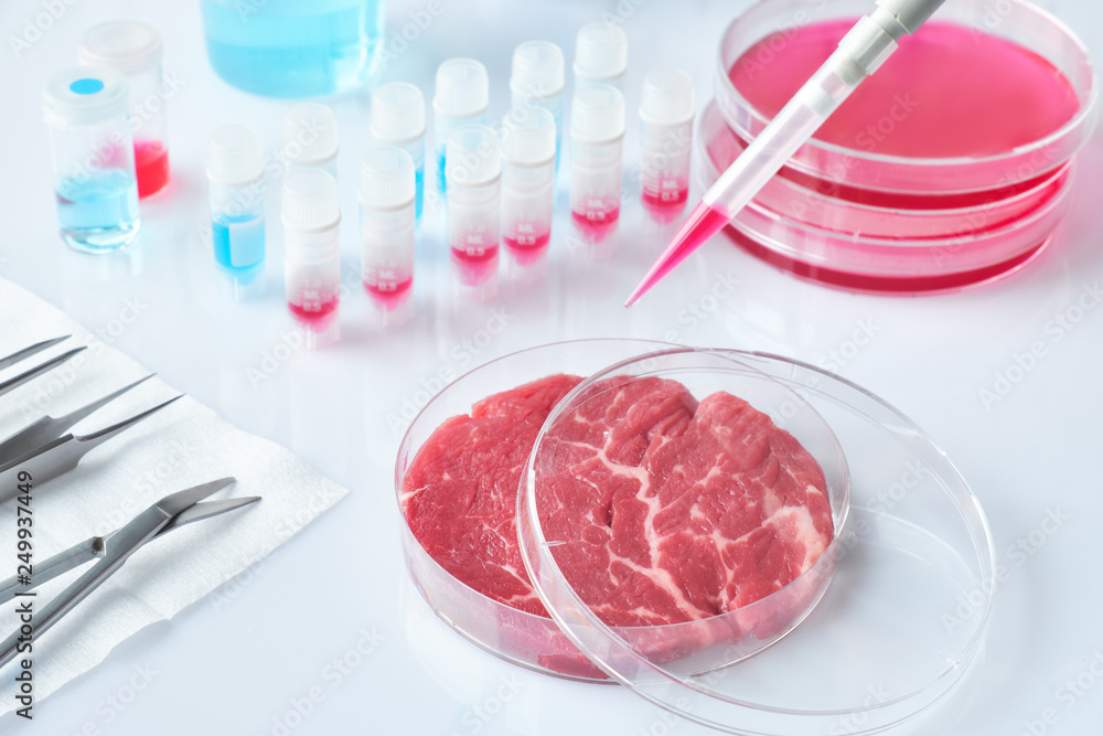 Meat sample in open disposable plastic cell culture dish in modern laboratory, clean meat concept Meat sample in open disposable plastic cell culture dish in modern laboratory, clean meat concept
