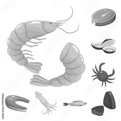 Vector illustration of seafood and healthy logo. Collection of seafood and ocean stock vector illustration. © pandavector