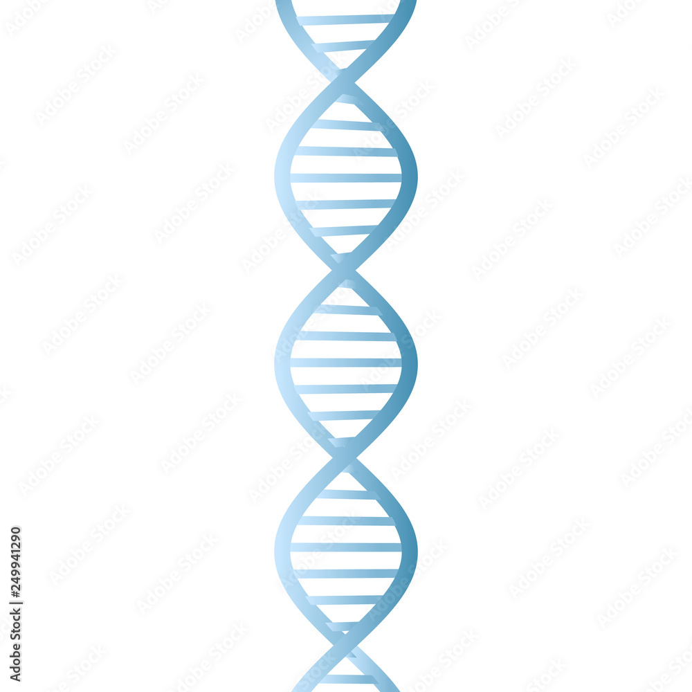 Beautiful realistic DNA blue colored double helix on white background ...