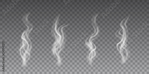 Beautiful vector collection of a flying smoke on transparent background.