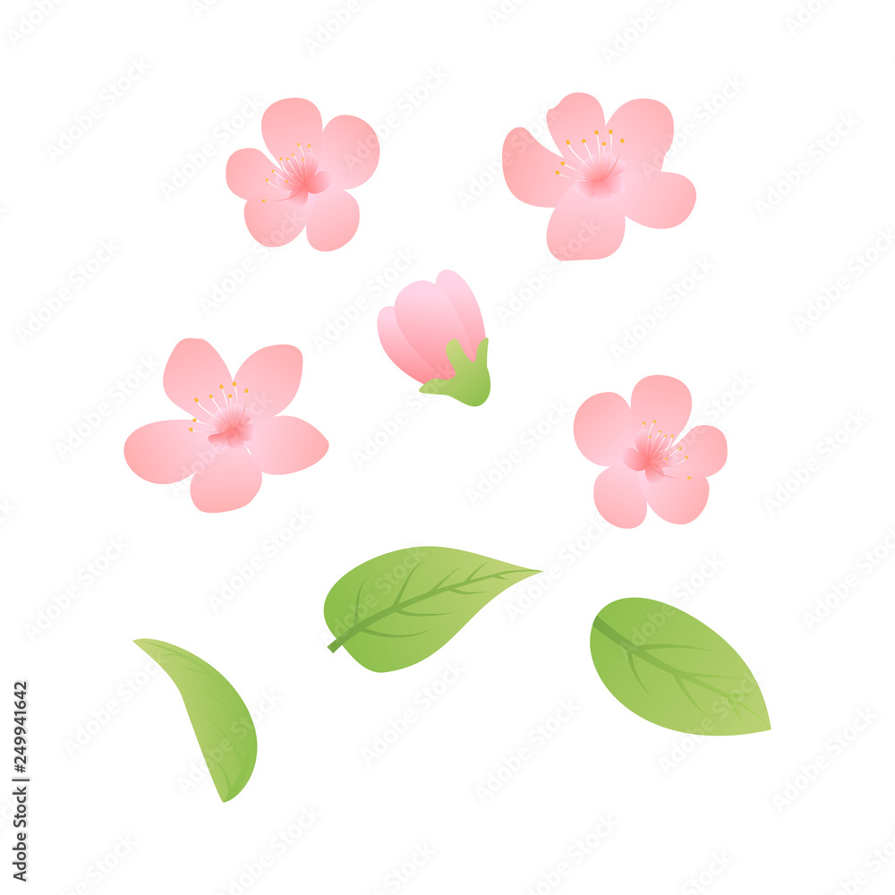 Set Of Spring Blossom Flowers Background Seamless Floral Shabby Chic Patterns In Vector Clipart Of Spring Background With Blossoming Vector Illustration Set Stock Vector Adobe Stock Set Of Spring Blossom Flowers Background Seamless Floral Shabby Chic Patterns In Vector Clipart Of Spring Background With Blossoming Vector Illustration Set Stock Vector Adobe Stock