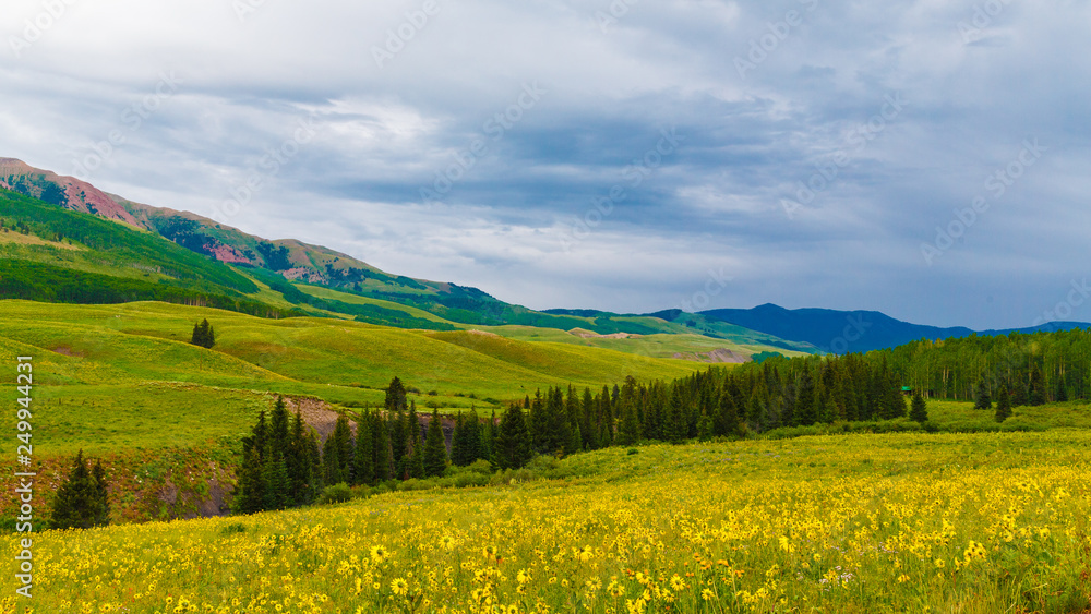 Vast Colorado mountain vista of wildflower meadows 