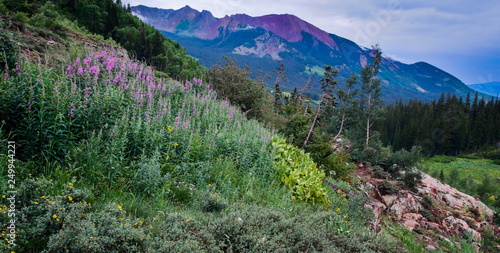 Photography Purple mountains majesty in the Colorado Rocky Mountain Wildernes
