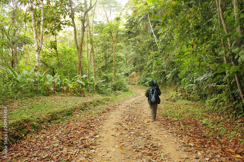 A backpacker walking along nature trail, Palmichal, Carabobo, Venezuela