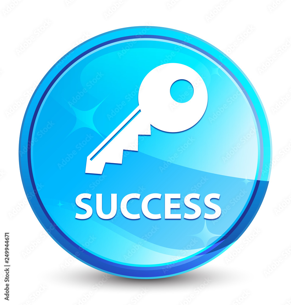 Success (key icon) splash natural blue round button Success (key icon) splash natural blue round button