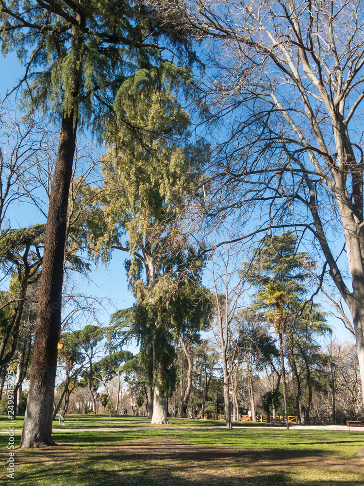 View of the Retiro Park in Madrid. The Buen Retiro Park is a historic garden and public park View of the Retiro Park in Madrid. The Buen Retiro Park is a historic garden and public park