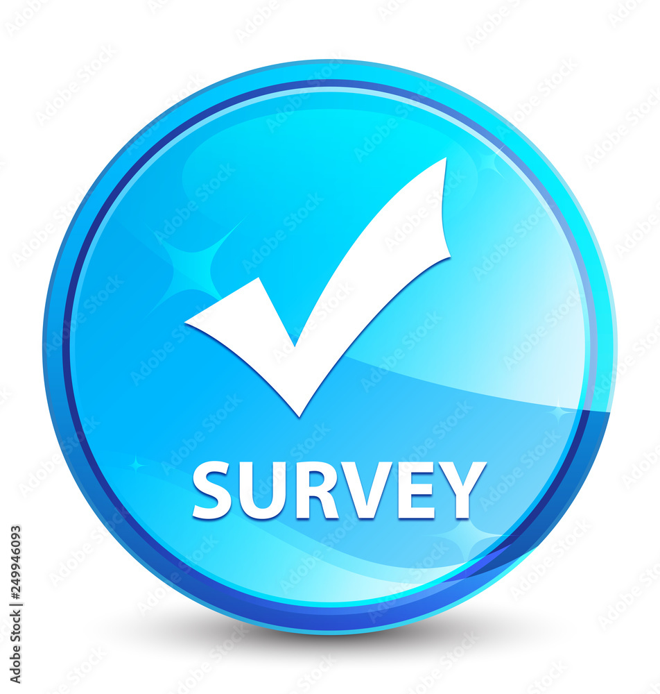 Survey (validate icon) splash natural blue round button Survey (validate icon) splash natural blue round button