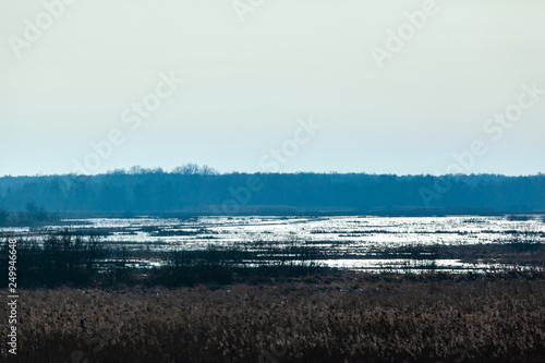 picturesque mystical landscape of marshy fields in blue colors with the silhouette of the forest
