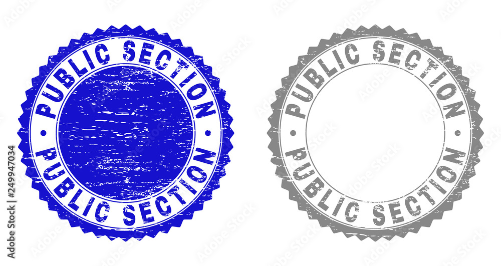 Grunge PUBLIC SECTION stamp seals isolated on a white background. Rosette seals with grunge texture in blue and gray colors. Vector rubber overlay of PUBLIC SECTION text inside round rosette.