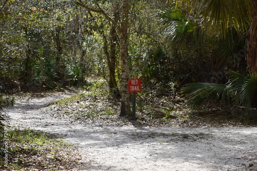 Two way path with sign in forest