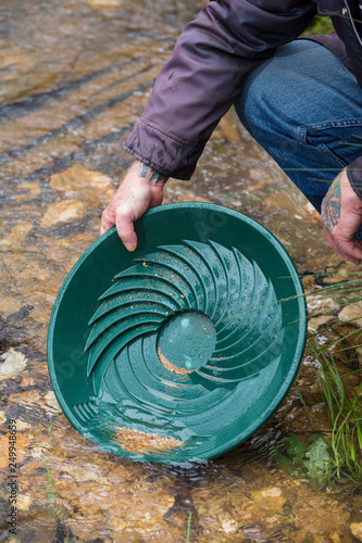Fotografi Prospector finding gold while panning in a stream in Victoria Australia