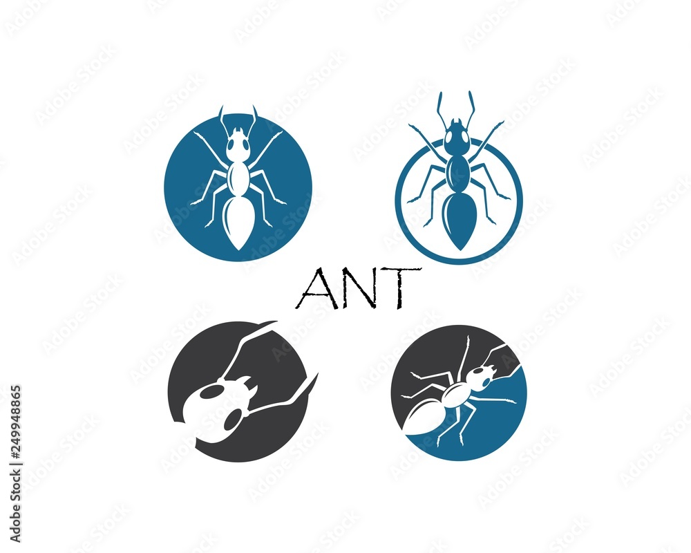 Ant Logo template vector illustration Ant Logo template vector illustration