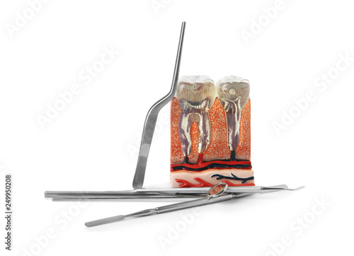 Educational model of jaw section with teeth and professional tools on white background © New Africa
