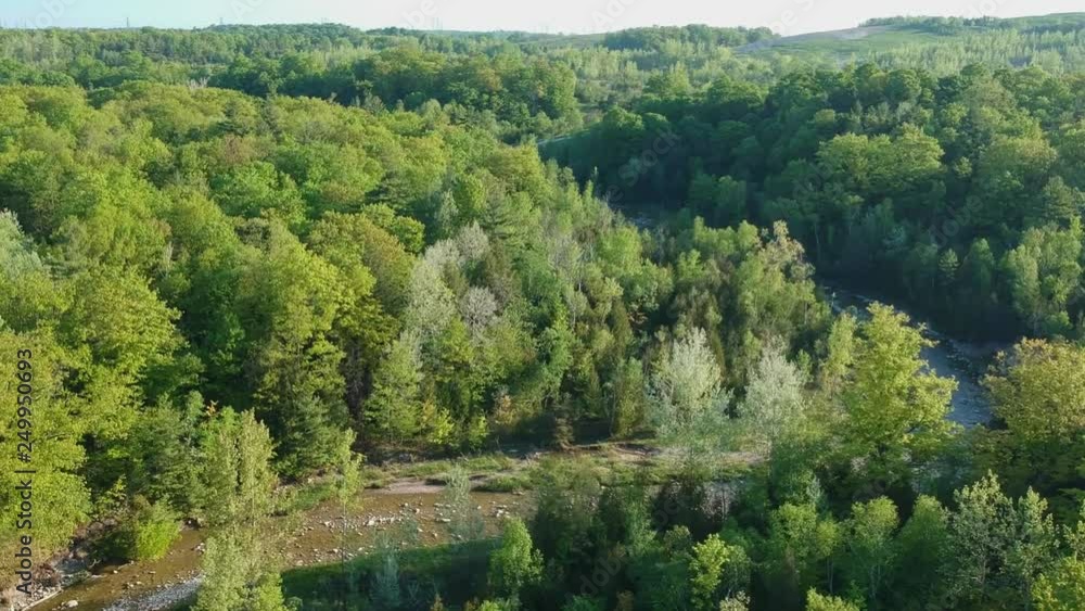 Aerial flying over a beautiful green forest in a rural landscape. America. Aerial flying over a beautiful green forest in a rural landscape. America.