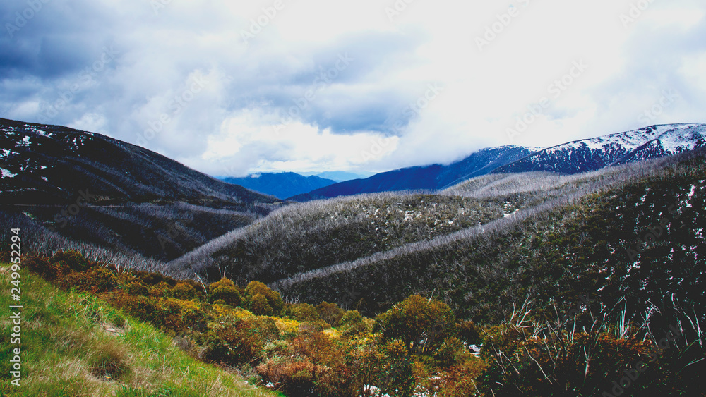 Fototapeta premium Falls Creek 14