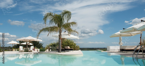 Piscina di design a sfioro con palma in campagna in Basilicata