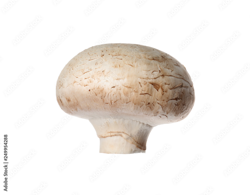 Fresh champignon mushroom isolated on white. Healthy food Fresh champignon mushroom isolated on white. Healthy food