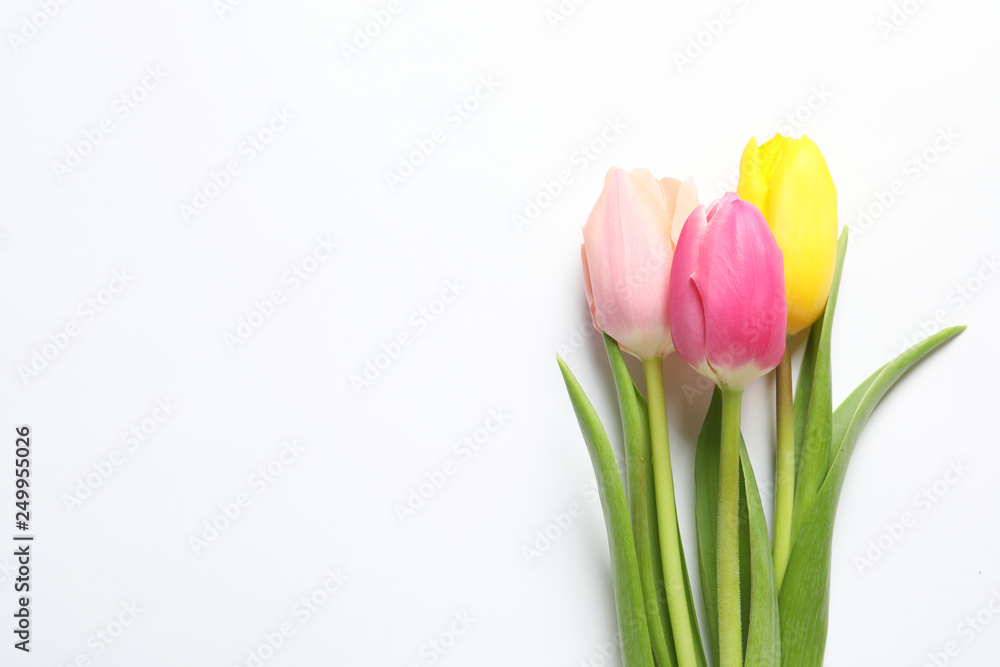 Fototapeta premium Beautiful spring tulips on white background, top view. International Women's Day