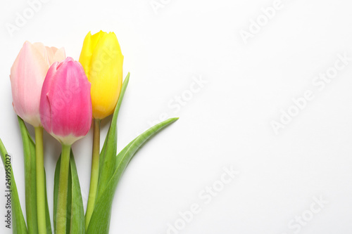Fototapeta Naklejka Na Ścianę i Meble -  Beautiful spring tulips on white background, top view. International Women's Day