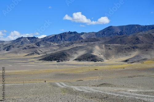 Tibetan plateau. Mountain road to the salt lake Drangyer Tsaka. China