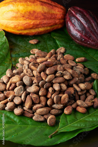 Pile of cocoa beans