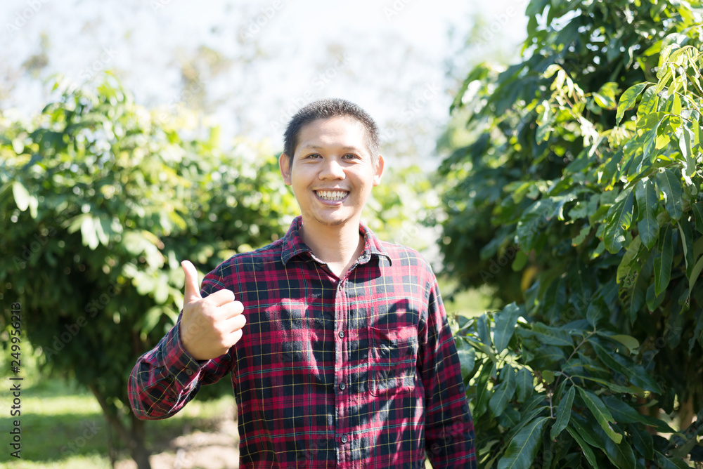 Asian farmer smiling and showing thumb up in longan field Asian farmer smiling and showing thumb up in longan field