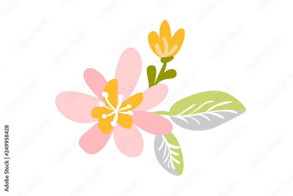 Vector isolated flat flower on white background. Spring scandinavian hand drawn nature illustration wedding design. For greeting card, print, children book Vector isolated flat flower on white background. Spring scandinavian hand drawn nature illustration wedding design. For greeting card, print, children book