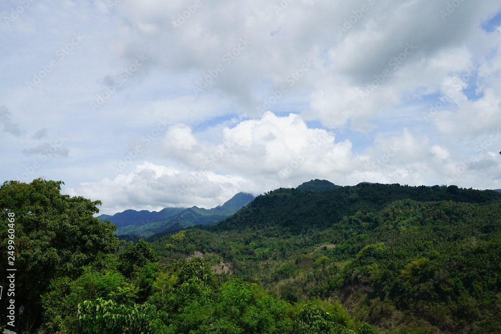 Jungle view outside of Dumaguete, Philippines Jungle view outside of Dumaguete, Philippines