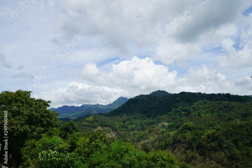 Jungle view outside of Dumaguete, Philippines