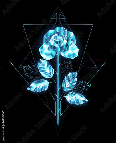 Ice rose