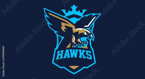 Colorful emblem, badge, logo of flying eagle. Bird, hunter, predator, dangerous animal, shield, lettering. Mascot sports club, vector illustration
